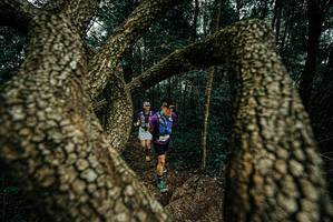 BIB: 
                            <button type="button" onclick="openModal(25703989)" class="btn btn-primary btn-sm float-right btn-popup" data-toggle="modal" data-target=".modal-high-quality">
                        <i class="fas fa-shopping-cart"></i> Add to Cart
                    </button>
                                            <button type="button" onclick="isThisMe(25703989, true)" class="btn btn-success btn-sm float-right btn-popup btn-isme hidden" data-toggle="tooltip" data-placement="bottom" title="นี่คือรูปของคุณใช่ไหม คลิกที่นี่เพื่อเอาเข้าอัลบั้ม">
                        <i class="fas fa-plus"></i> Add to album
                    </button>
                    <button type="button" onclick="isThisMe(25703989, false)" class="btn btn-warning btn-sm float-right btn-popup btn-isnotme hidden">
                        <i class="fas fa-ban"></i> Remove from album
                    </button>